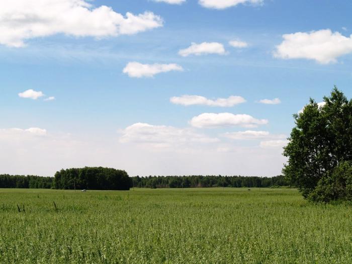 Фото Дубровка. Скачки на приз губернатора