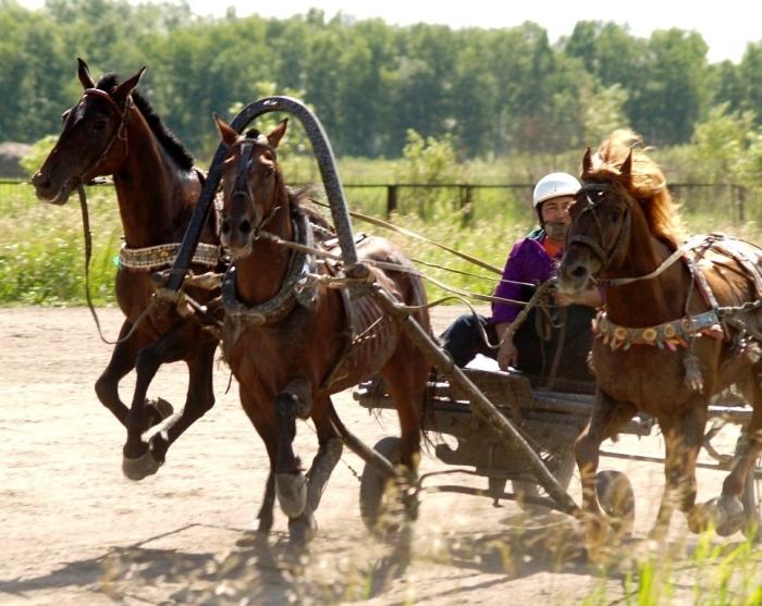 Фото Дубровка. Скачки на приз губернатора