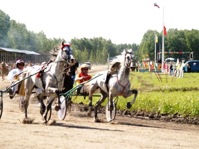 Фото Дубровка. Скачки на приз губернатора
