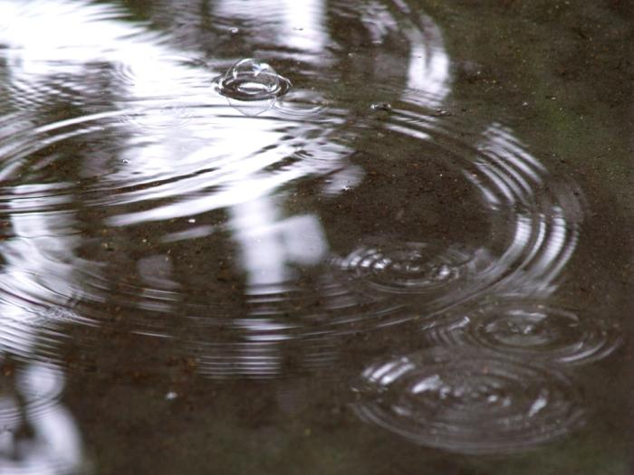 Фото Времена года. Июль-2008
