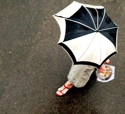 Фото Времена года. Июль-2008