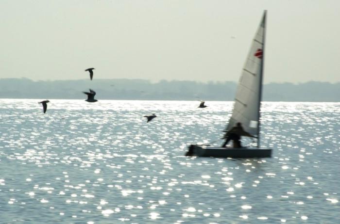 Фото Времена года. Август-2008
