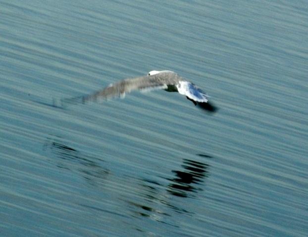 Фото Времена года. Август-2008