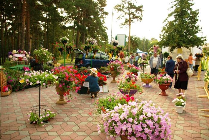 Фото Городской праздник цветов и плодов-2008 в Челябинске