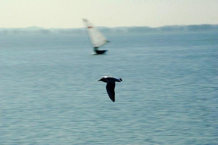 Фото Времена года. Август-2008