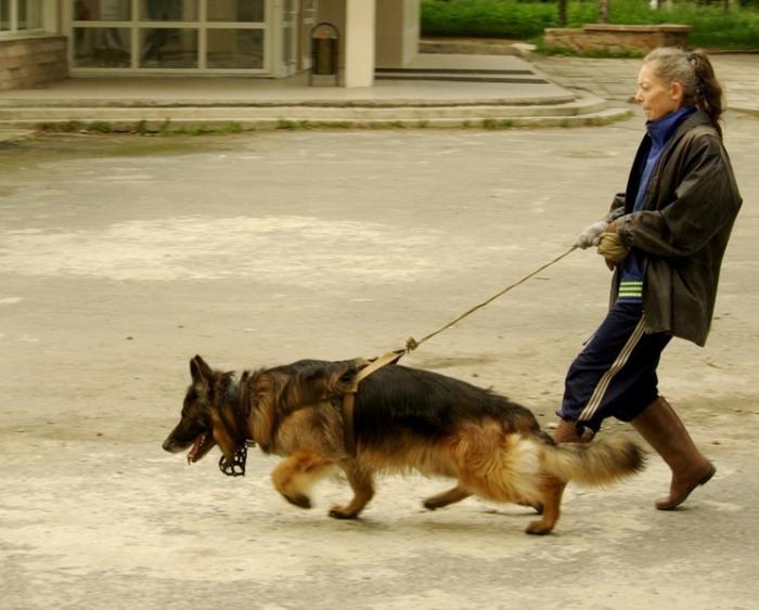 Фото Времена года. Август-2008