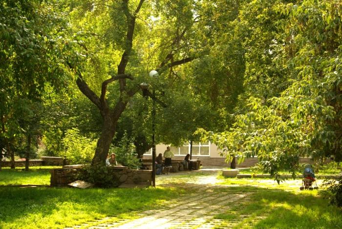 Фото Времена года. Август-2008
