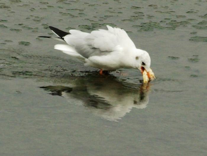 Фото Времена года. Август-2008