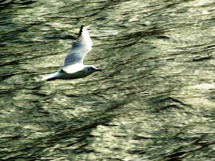 Фото Времена года. Сентябрь-2008
