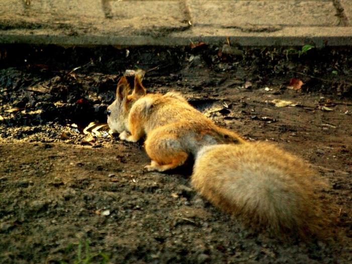 Фото Времена года. Сентябрь-2008