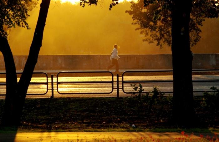 Фото Времена года. Сентябрь-2008