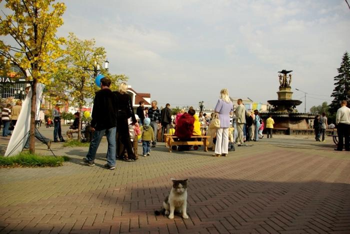 Фото Времена года. Сентябрь-2008