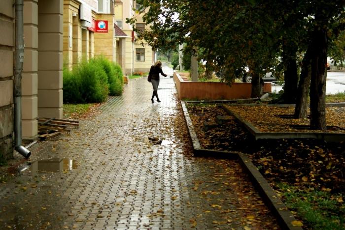 Фото Времена года. Сентябрь-2008