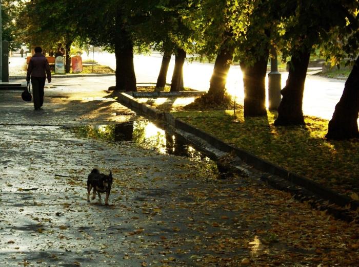 Фото Времена года. Сентябрь-2008