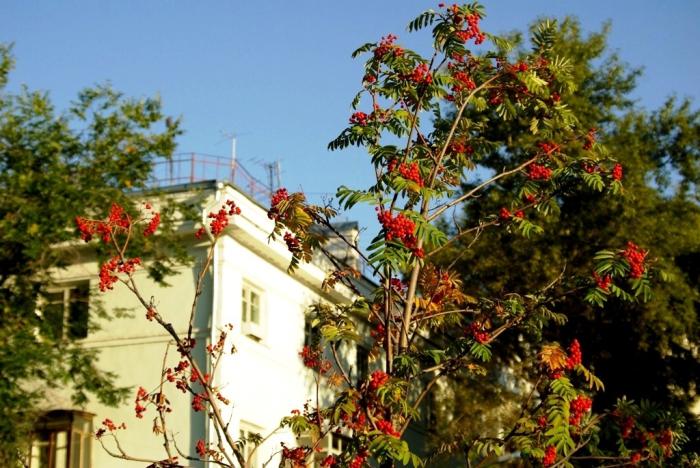 Фото Времена года. Сентябрь-2008