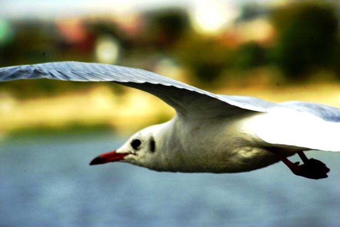 Фото Времена года. Сентябрь-2008