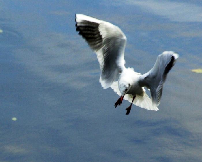Фото Времена года. Сентябрь-2008
