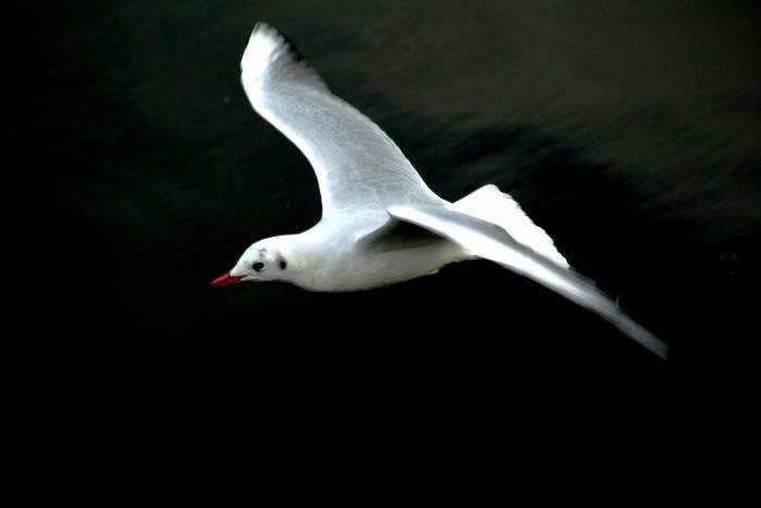 Фото Времена года. Сентябрь-2008