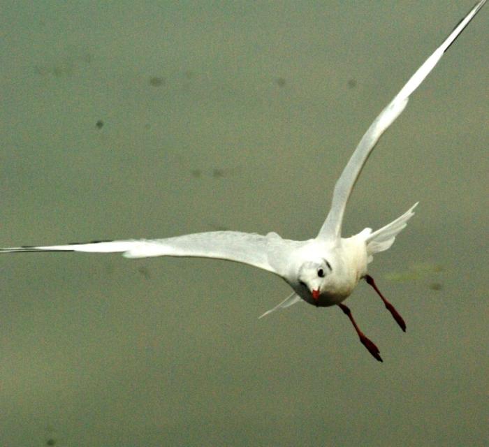 Фото Времена года. Сентябрь-2008