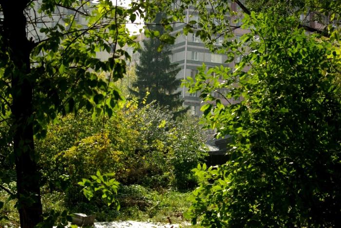 Фото Времена года. Сентябрь-2008