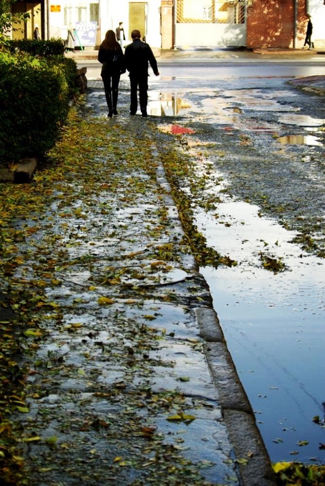 Фото Времена года. Сентябрь-2008