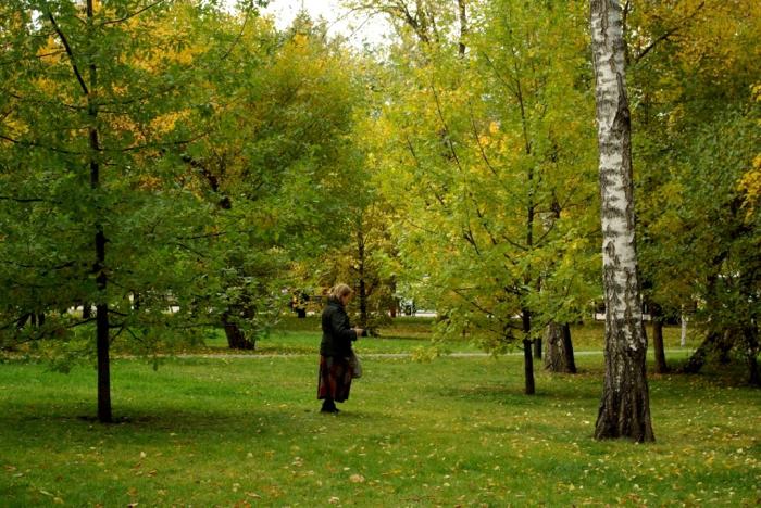 Фото Времена года. Сентябрь-2008