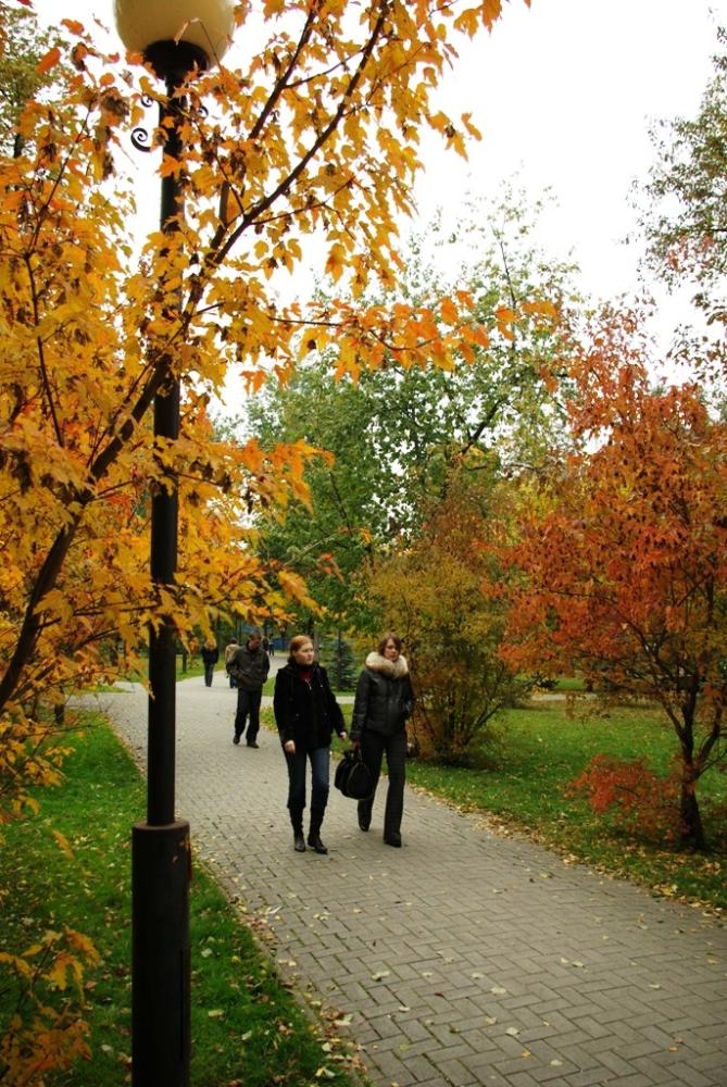 Фото Времена года. Сентябрь-2008