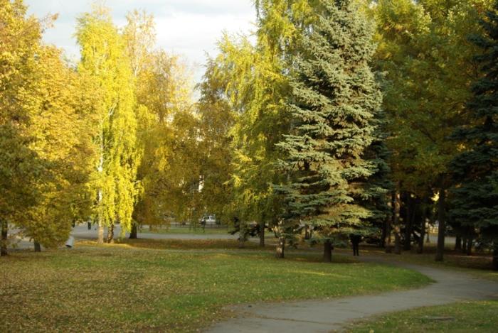 Фото Времена года. Сентябрь-2008