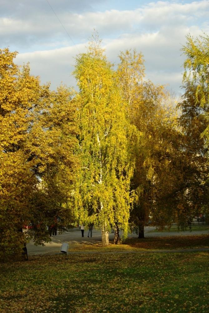 Фото Времена года. Сентябрь-2008