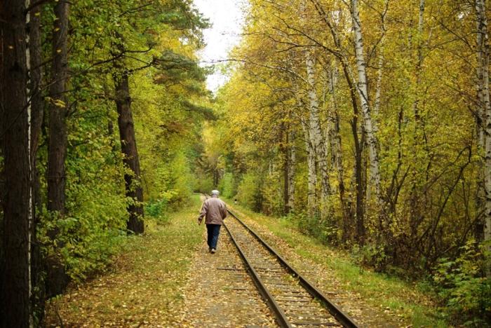 Фото Времена года. Сентябрь-2008