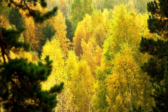 Фото Времена года. Сентябрь-2008