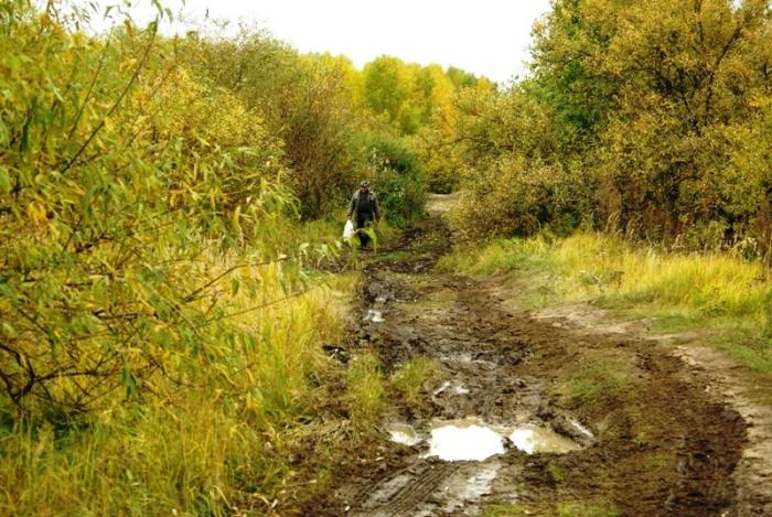 Фото Времена года. Сентябрь-2008