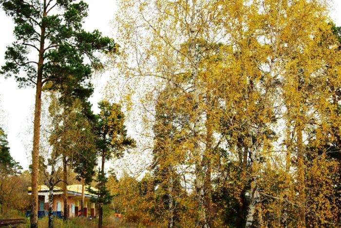 Фото Времена года. Сентябрь-2008
