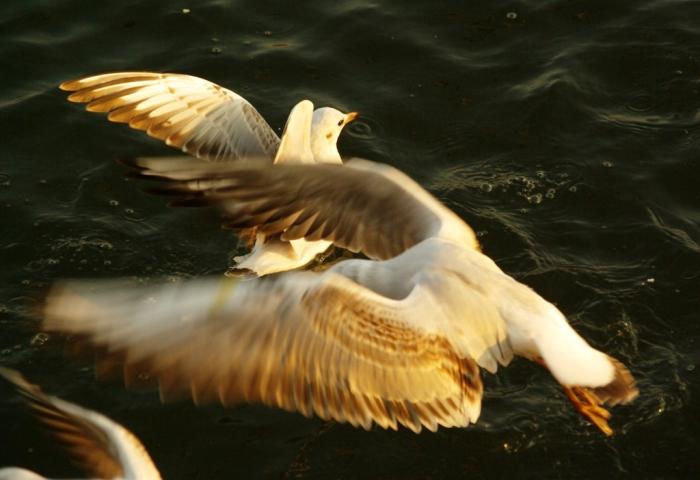 Фото Времена года. Октябрь-2008