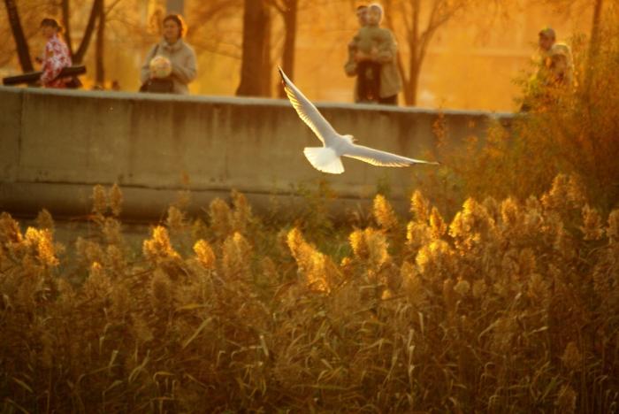 Фото Времена года. Октябрь-2008