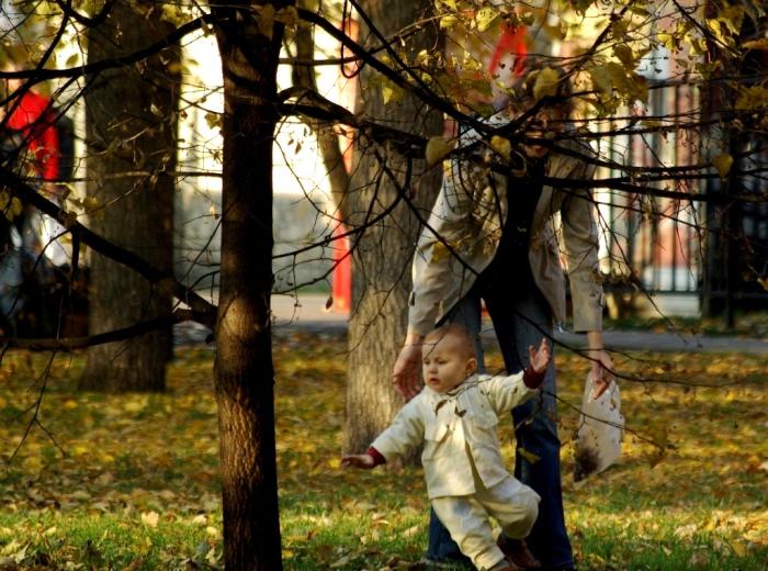 Фото Времена года. Октябрь-2008