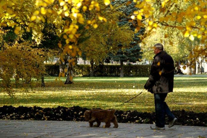 Фото Времена года. Октябрь-2008