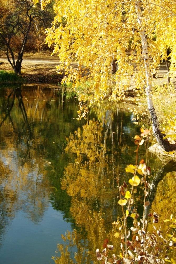 Фото Времена года. Октябрь-2008