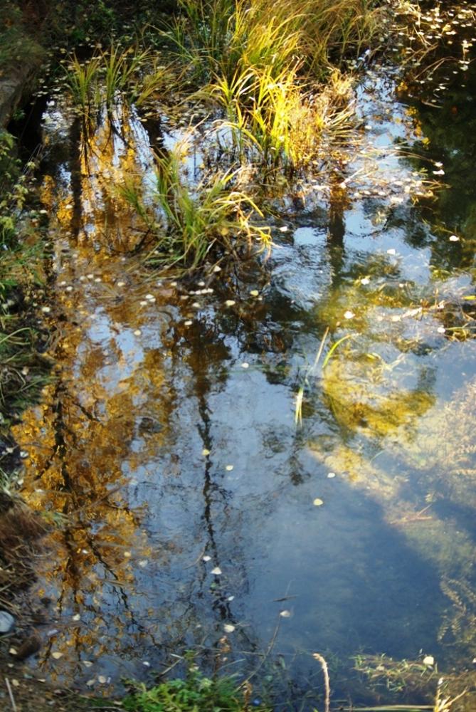 Фото Времена года. Октябрь-2008
