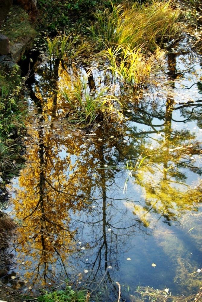 Фото Времена года. Октябрь-2008