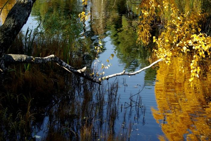 Фото Времена года. Октябрь-2008