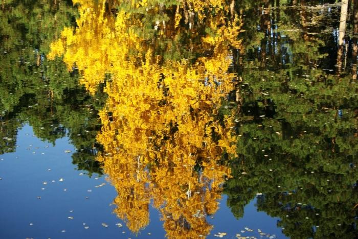 Фото Времена года. Октябрь-2008