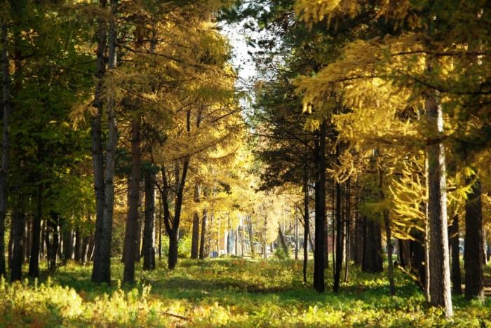 Фото Времена года. Октябрь-2008