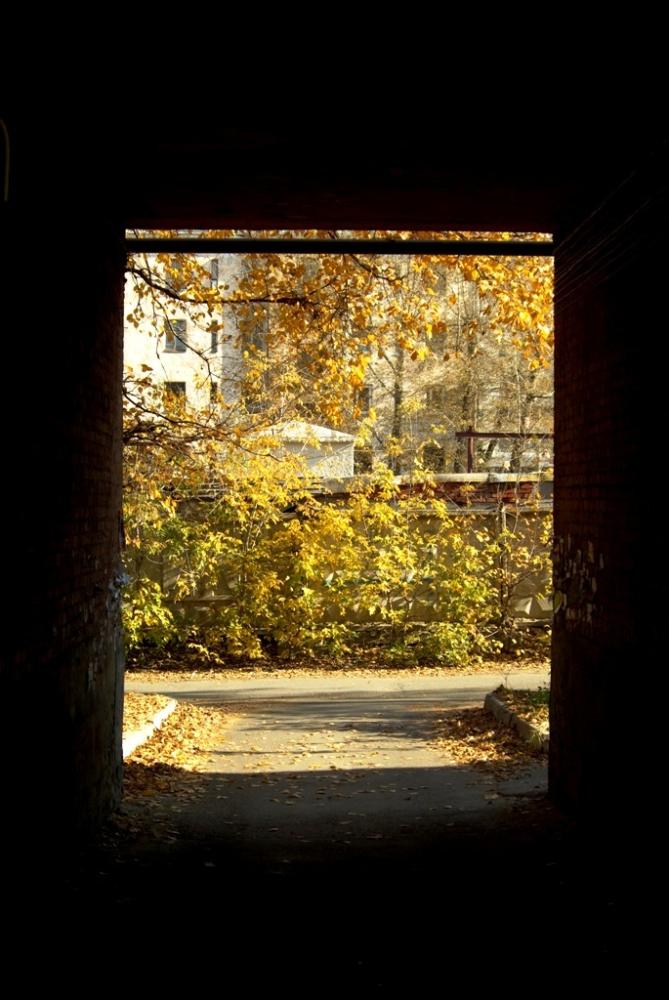 Фото Времена года. Один день бабьего лета-2008