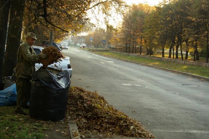 Фото Времена года. Октябрь-2008