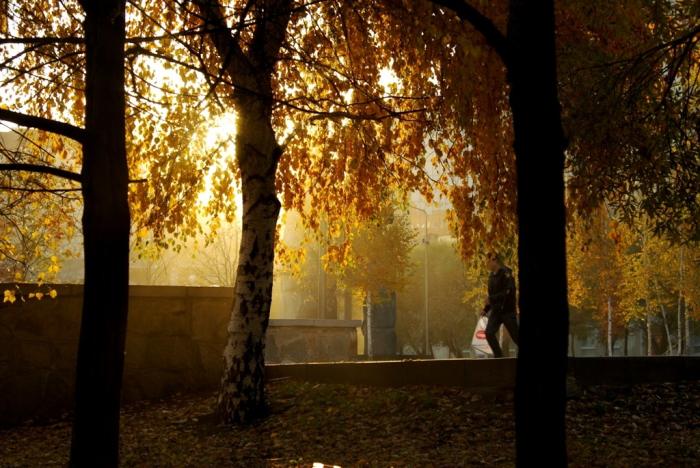 Фото Времена года. Октябрь-2008