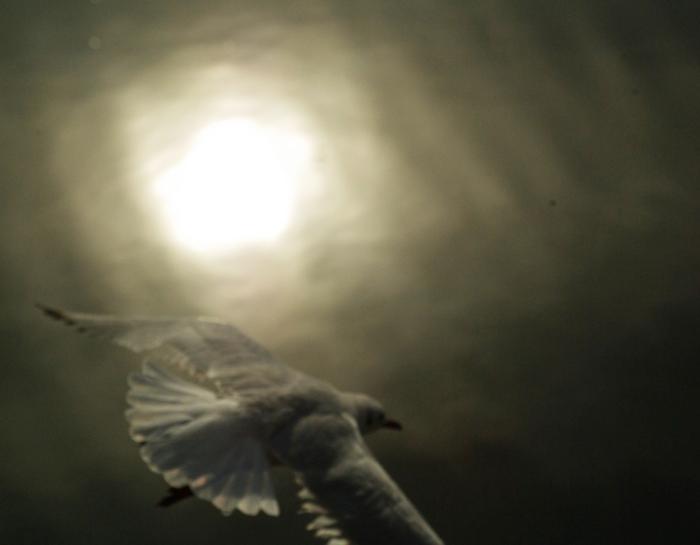 Фото Времена года. Октябрь-2008