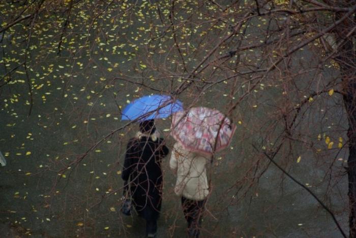 Фото Времена года. Октябрь-2008