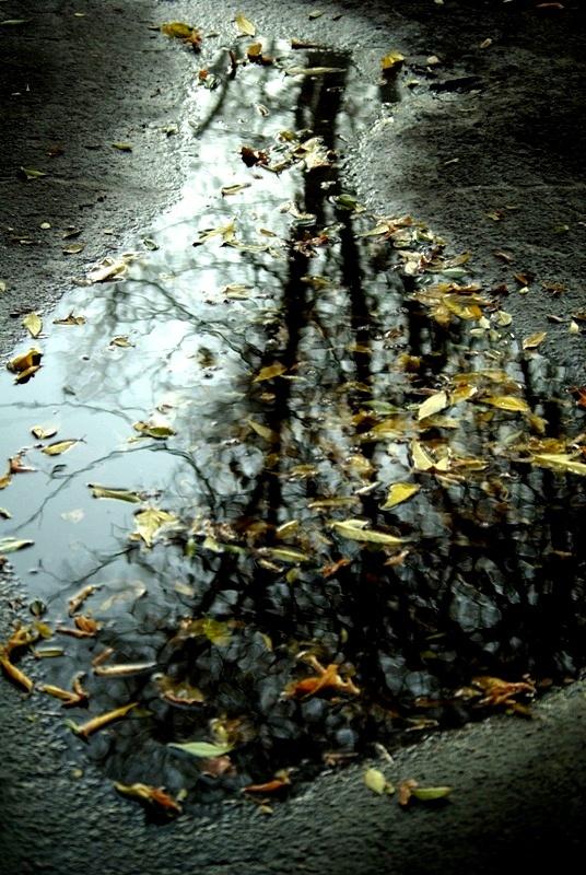 Фото Времена года. Октябрь-2008
