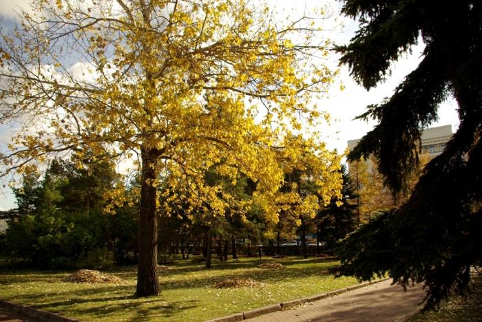 Фото Времена года. Графика октября (фото Валерия Иванова)